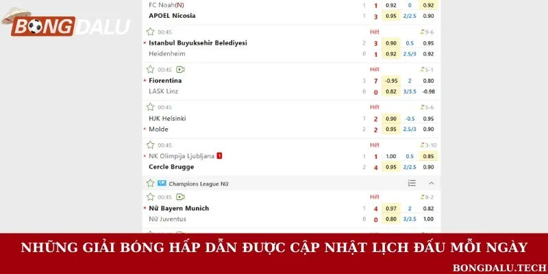 Các giải đấu thu hút lượng lớn người xem và tìm kiếm lịch bóng đá