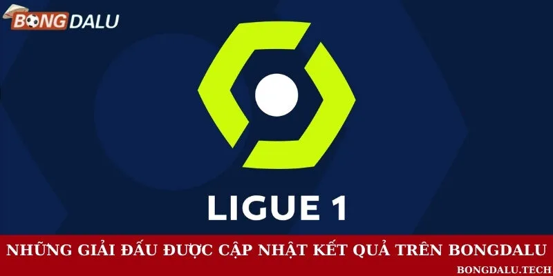 Tổng hợp những giải đấu nổi bật được hỗ trợ cập nhật kết quả mới nhất