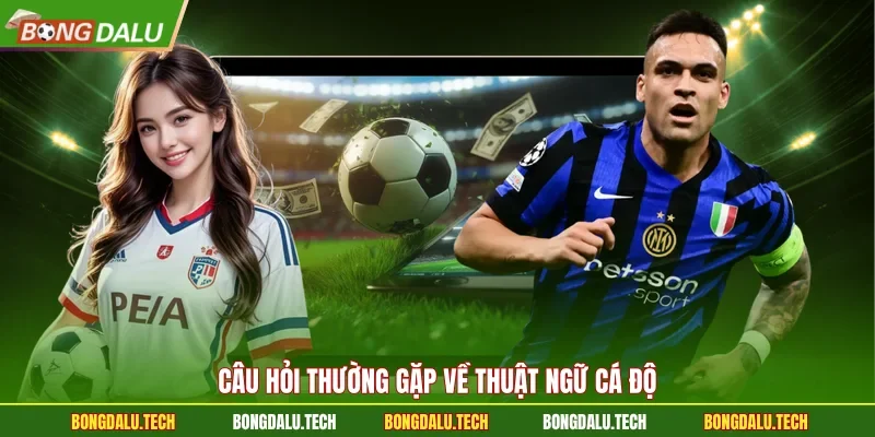 Câu hỏi thường gặp về thuật ngữ cá độ