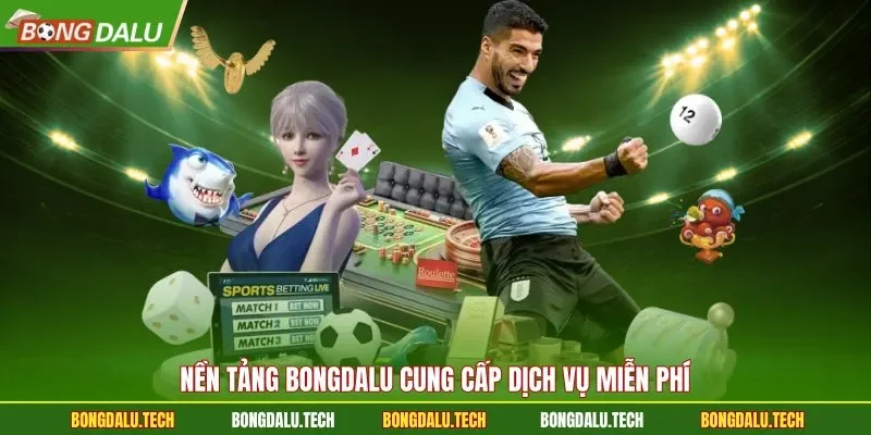 Nền tảng Bongdalu cung cấp dịch vụ miễn phí