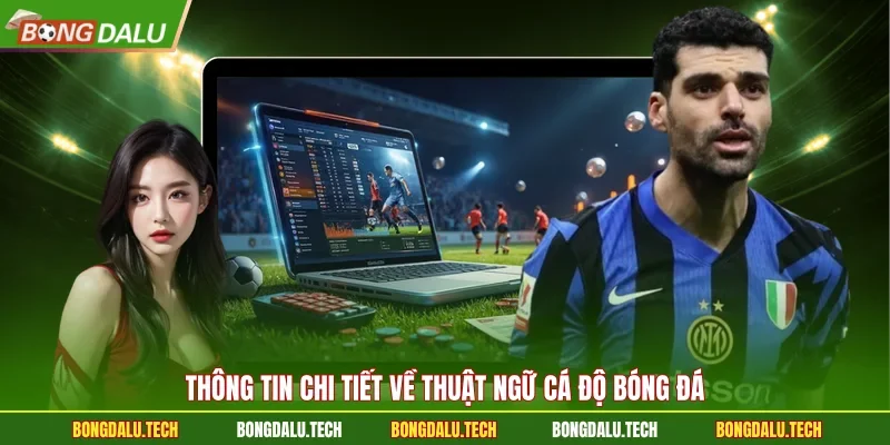 Thông tin chi tiết về thuật ngữ cá độ bóng đá